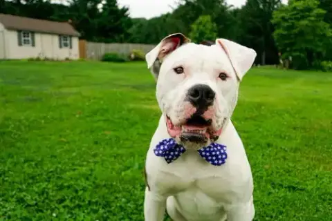 Chance photo 4