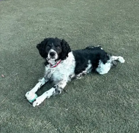 Co/Monty photo 3