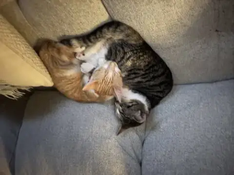 Cali & Sunny