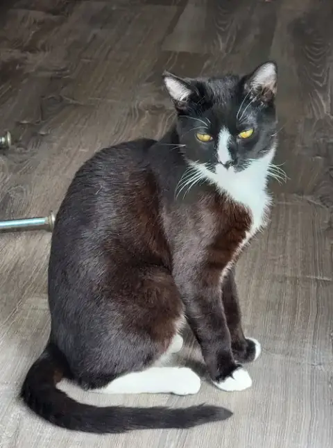 Pepper photo 2
