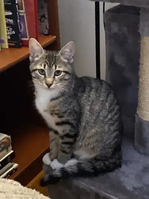 Franky Willow Grove Area