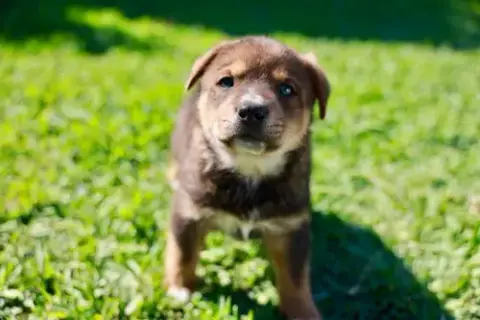 Teddy photo 2