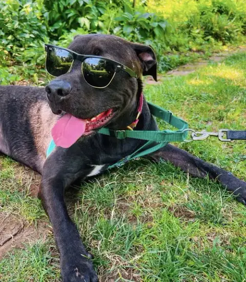 Astro
