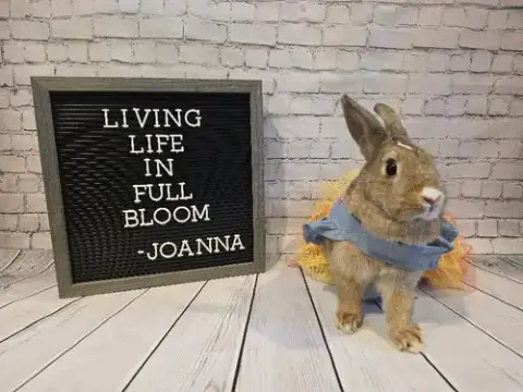 Joanna photo 2