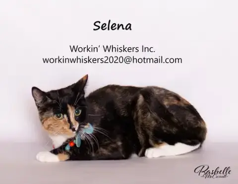 Selena