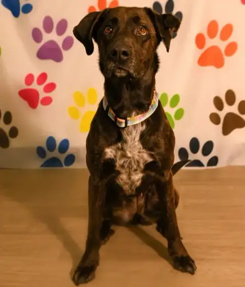 Kali photo 2