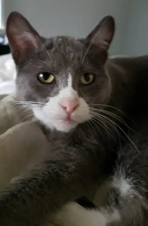 Eleanor photo 5