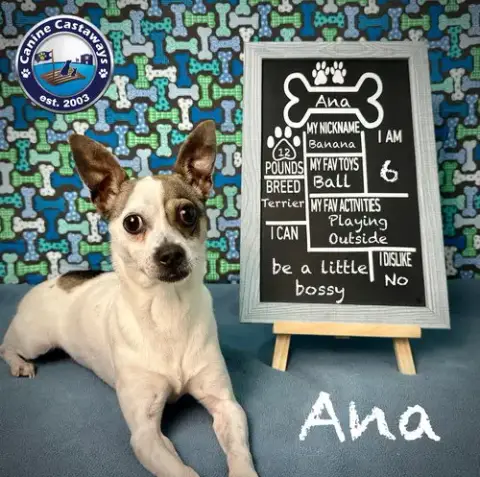 Ana photo 2