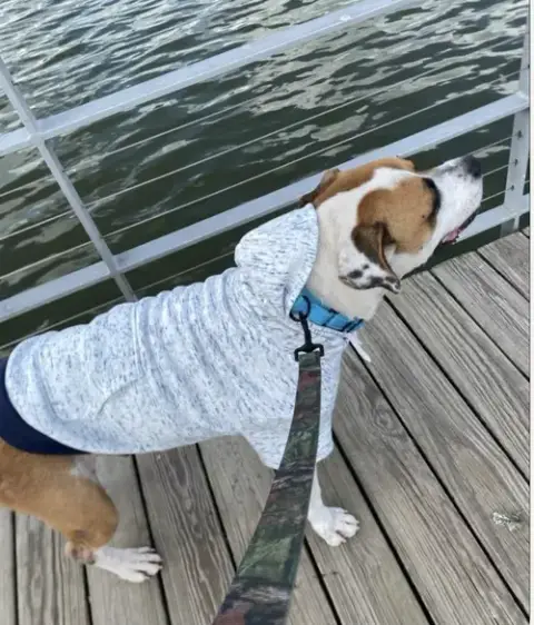 Buddy photo 2