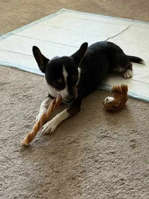 Jax