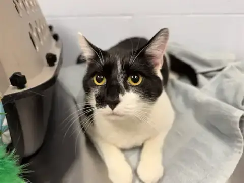 Tinker