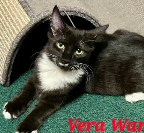 Vera