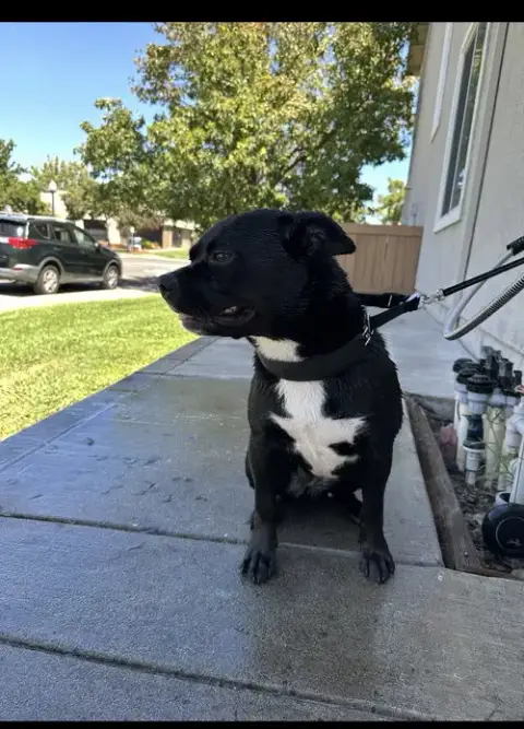 Kiki photo 2