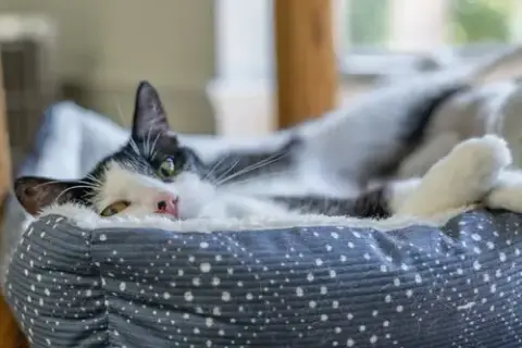 Dottie photo 2