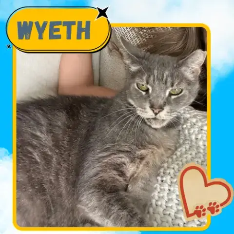 Wyeth photo 5