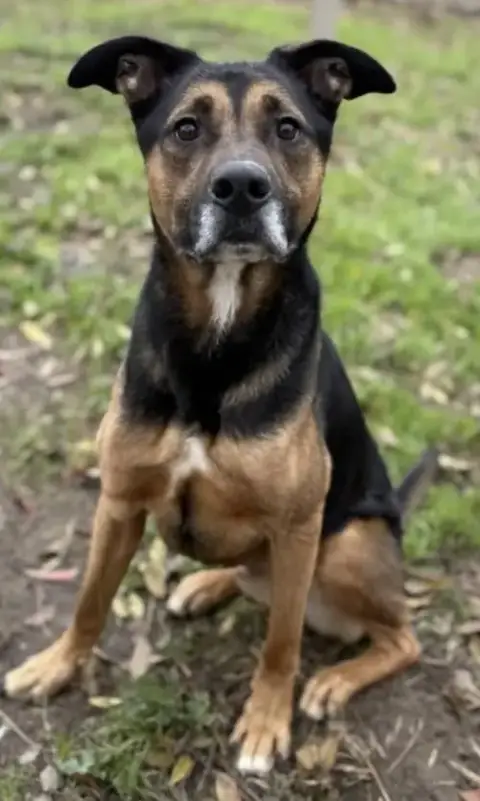 Ranger photo 2