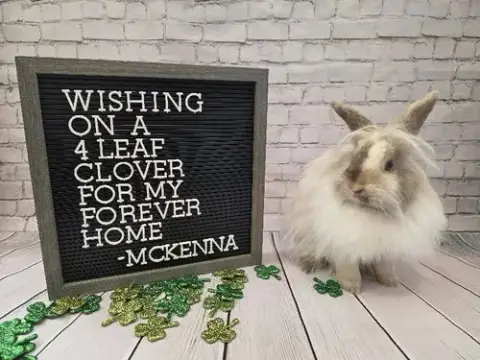 Mckenna