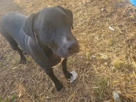 Luna photo 2
