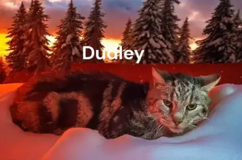 Dudley photo 3