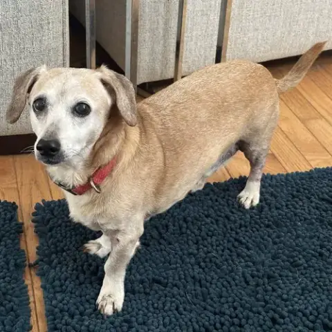 Tucker photo 4
