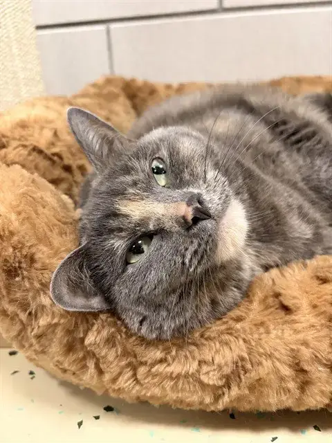 Precious