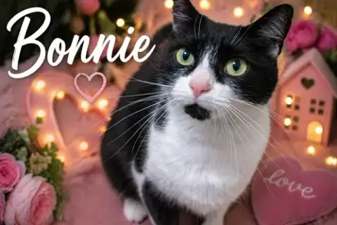 Bonnie