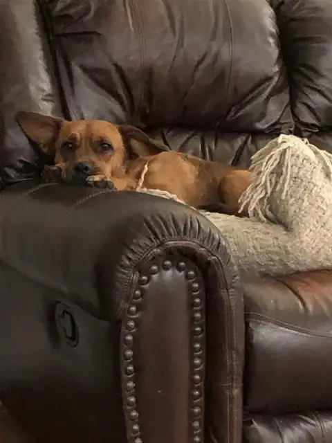 Carly photo 2