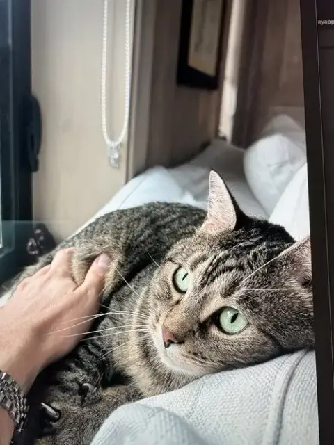 Cleo