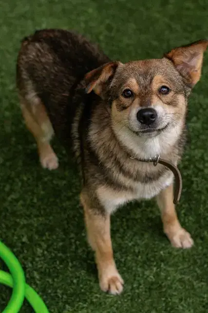 Carlos
