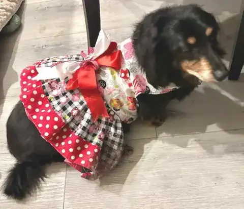 Mimi