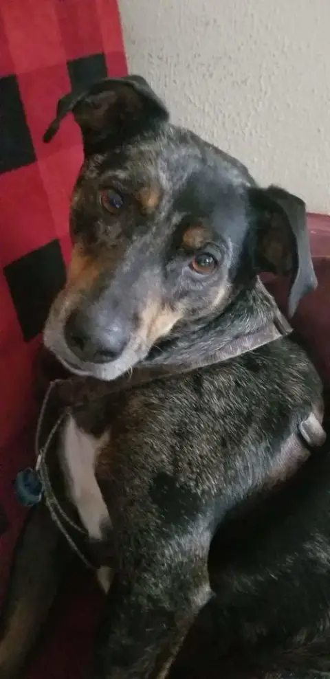 Max photo 2
