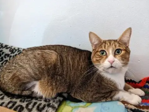 *Max