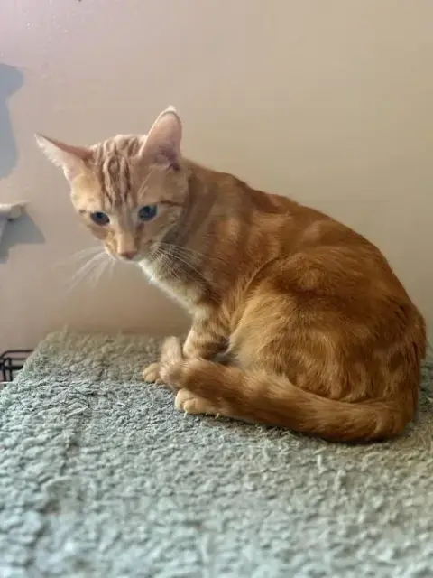 Marble