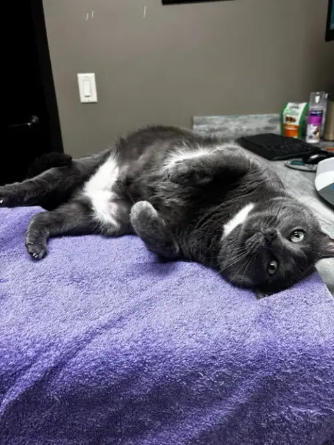 Cuddles photo 2