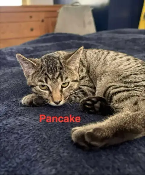 Pancake photo 2