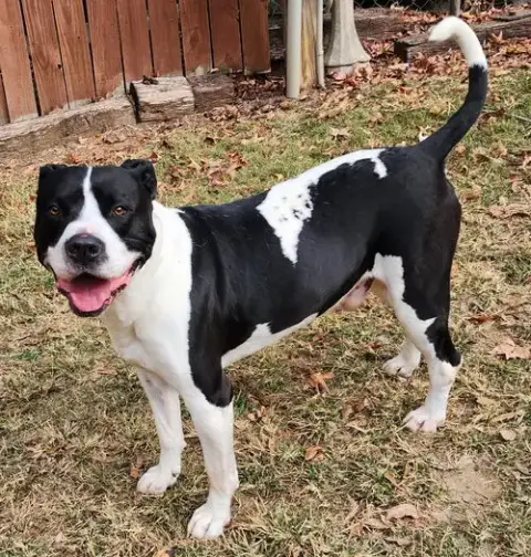 251820  Zeus photo 2