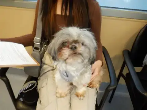 Rosie