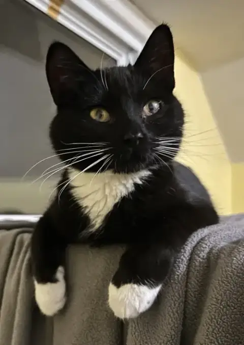 Lola photo 2