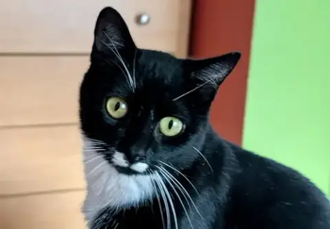 Cleopatra