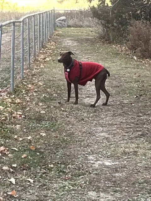 Maggie photo 4