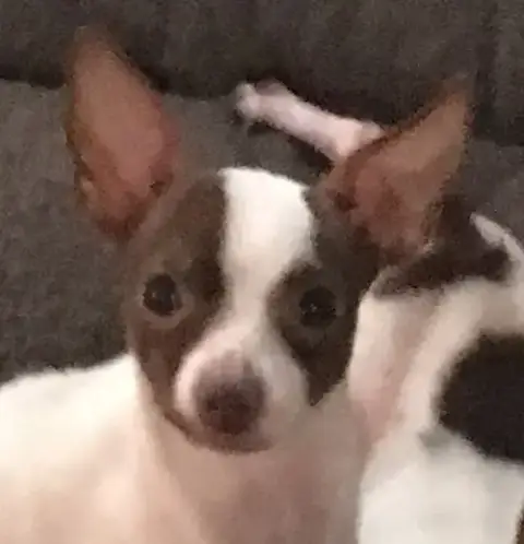 Princess photo 3