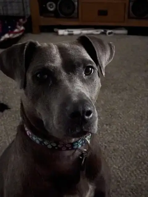 Lola photo 2