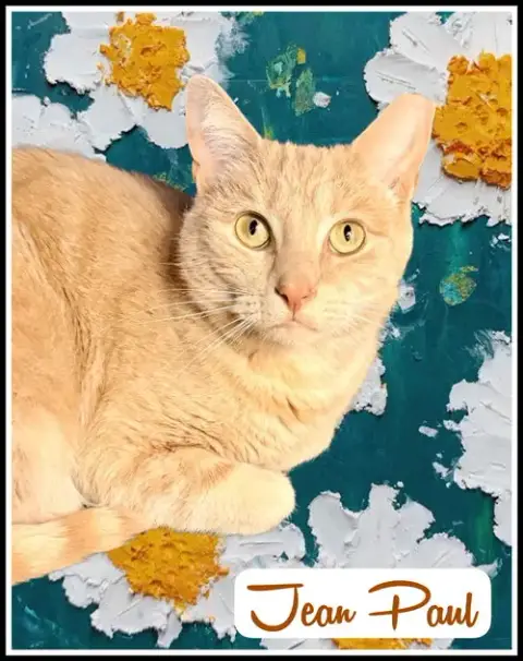 Jean Paul