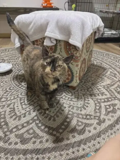 Kiki photo 2