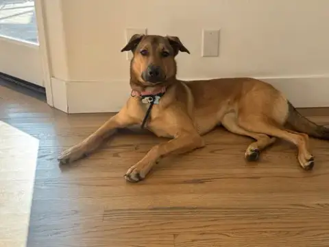 Maggie photo 2