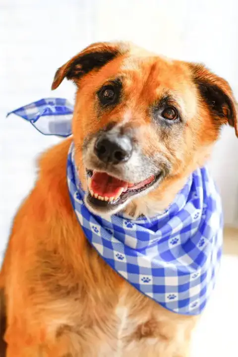 Eddie photo 4