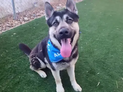 Raising Cane
