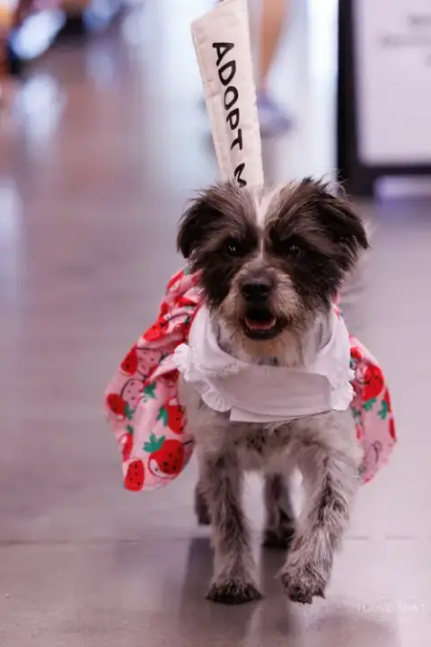 Missy photo 4