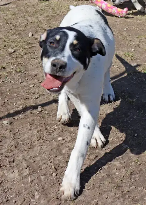 Titch photo 2