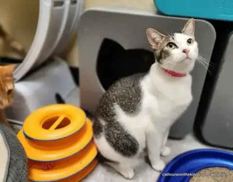 Tinker